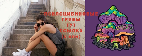 гашик Бронницы