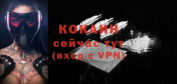 гидропоника Бородино
