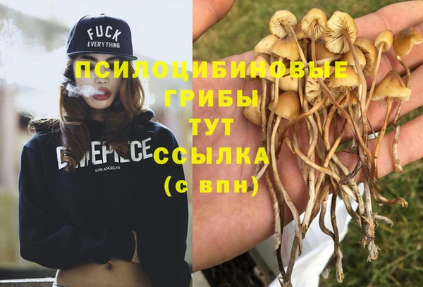 герыч Богородицк