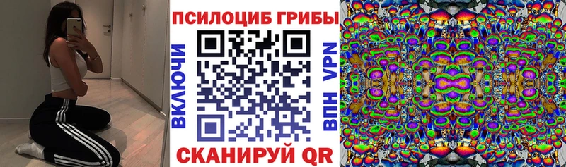 MEGA онион  shop официальный сайт  Псилоцибиновые грибы Psilocybe  Сретенск 